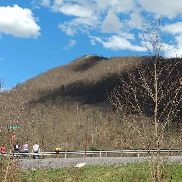 57400080_10206236122939842_7785820906353328128_n